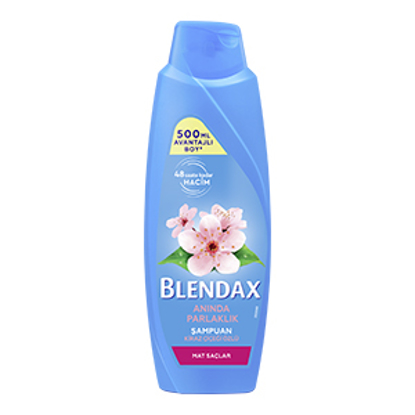BLENDAX ŞAMPUAN 500ML KİRAZ ÇİÇEĞİ x12 resmi