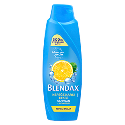 BLENDAX ŞAMPUAN 500ML KEPEĞE KARŞI x12 resmi