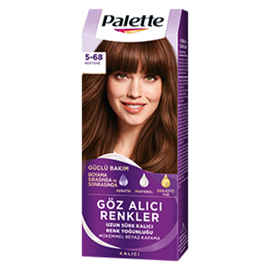 PALETTE ICC 5-68 KESTANE x10 resmi