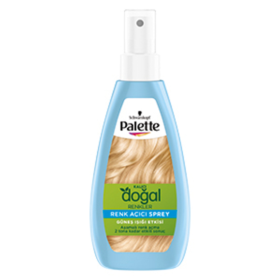 PALETTE PNC SPREY 150ML RENK AÇICI x6 resmi