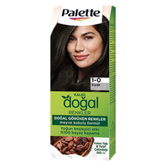 PALETTE PNC 1-0 SIYAH x10 resmi