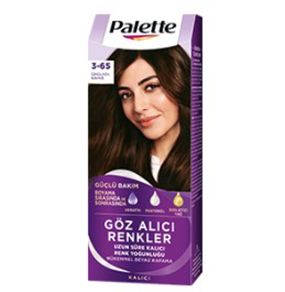 PALETTE ICC 3-65 ÇIKOLATA KAHVE x10 resmi
