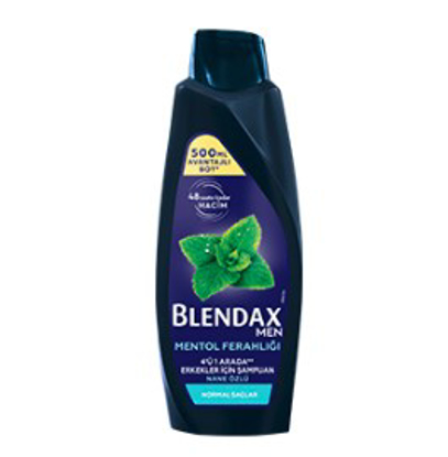 BLENDAX ŞAMPUAN 500ML MEN MENTOLLÜ x12 resmi