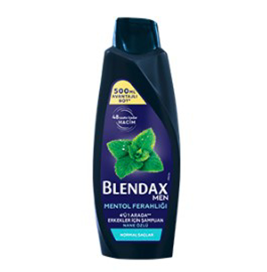 BLENDAX ŞAMPUAN 500ML MEN MENTOLLÜ x12 resmi